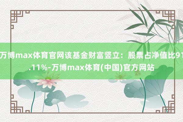 万博max体育官网该基金财富竖立：股票占净值比91.11%-万博max体育(中国)官方网站