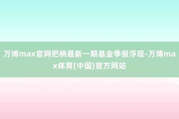 万博max官网把柄最新一期基金季报浮现-万博max体育(中国)官方网站